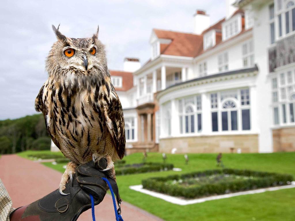 Trump Turnberry Luaran gambar